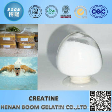 Factory promote creatine monohydrate powder supplement